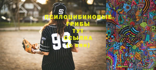 PSILOCYBIN Абдулино