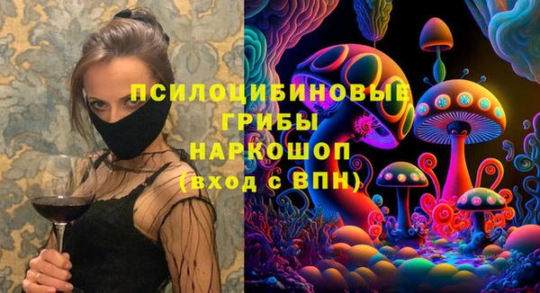 круглые Абаза
