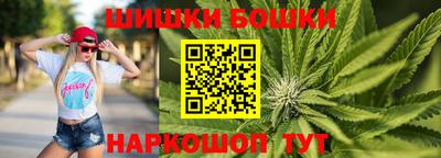 гашик Ливны