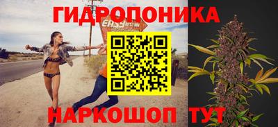 гашик Ливны