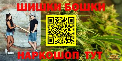 гашик Ливны