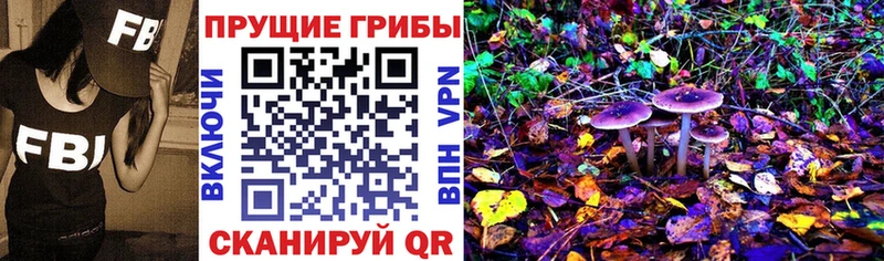 мега онион  Шарыпово  Псилоцибиновые грибы MAGIC MUSHROOMS 
